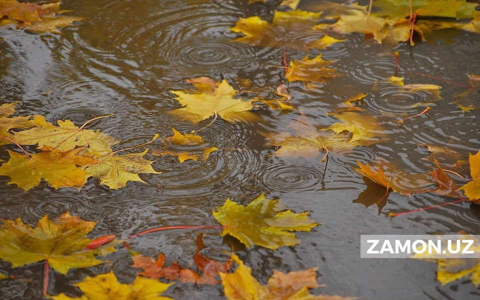 Ўзбекистонда ҳафта давомида қандай об-ҳаво кутилмоқда?