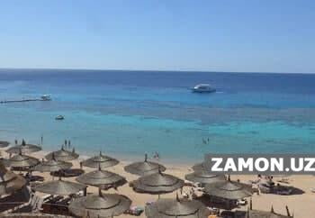 Миср қайтиш рейси бекор қилинганларни текин меҳмонхонага жойлаштиради