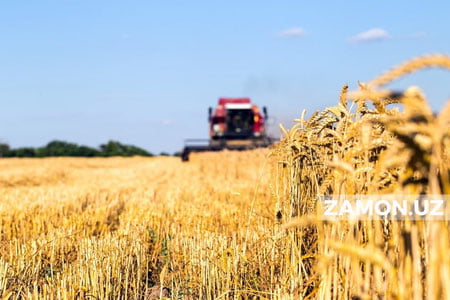 Фермер хўжаликлари ер солиғидан озод қилинади