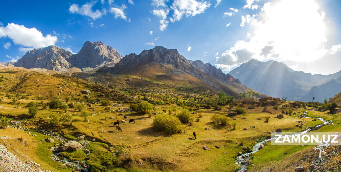 Navoiyda yangi tabiat bog‘i va qo‘riqxona paydo bo‘ladi