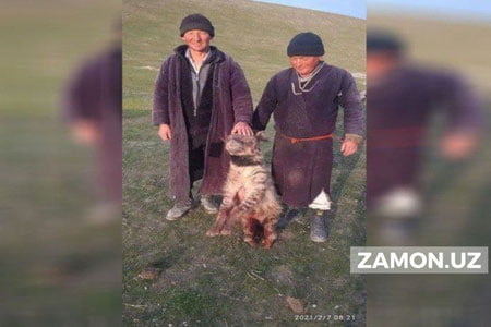 Ўзбекистонда 16 донагина қолган сиртлонлардан бири ўлдирилди