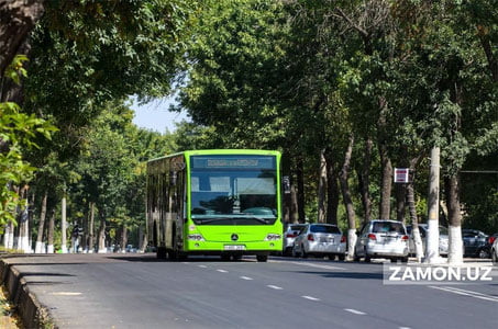 “Янги Ўзбекистон боғи”га автобус қатнови йўлга қўйилади
