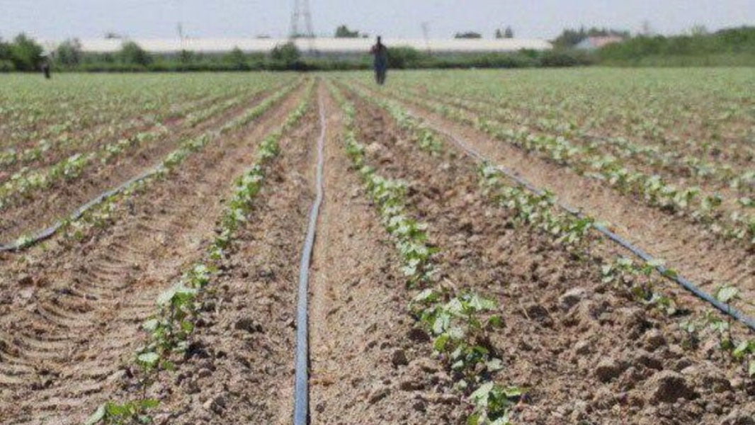 1 августдан ҳокимликларнинг ерга оид қатор ваколатлари бекор қилинади