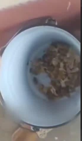 Боғча ошхонасида гўштни яширганлар кир ювувчиликка ўтказилади