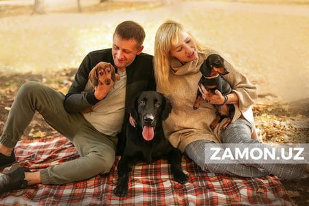 Рим Папаси уйи ҳайвонларини севувчиларни худбинликда айблади