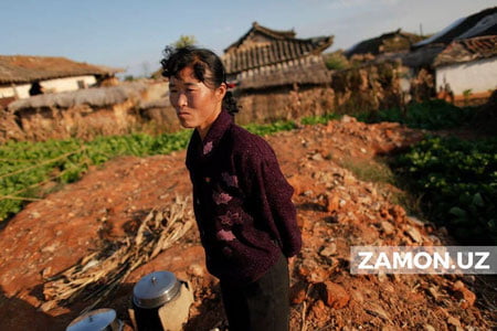 Shimoliy Koreya qora oqqush go‘shti yordamida ochlikka qarshi kurashmoqchi