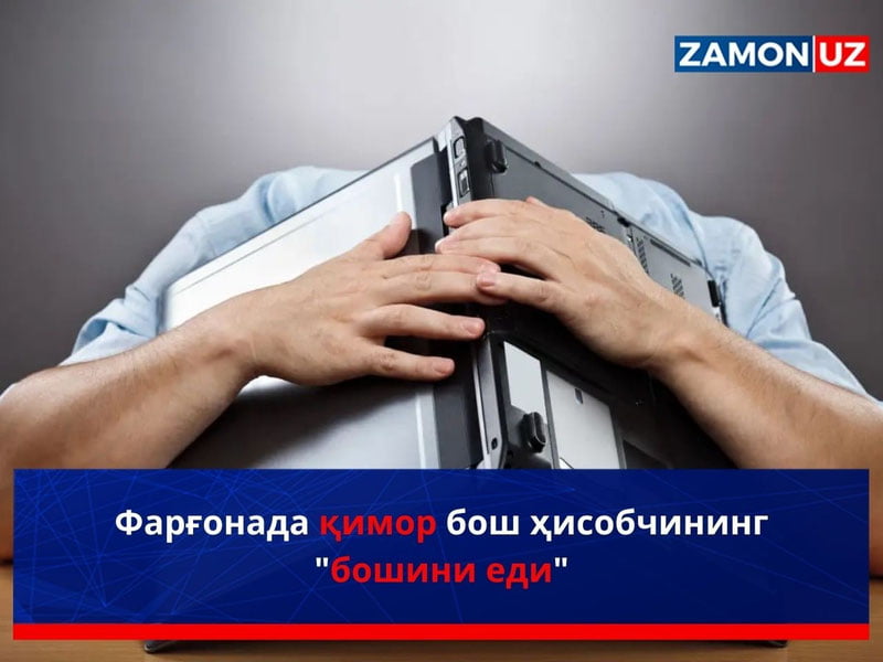Фарғонада қимор бош ҳисобчининг "бошини еди"