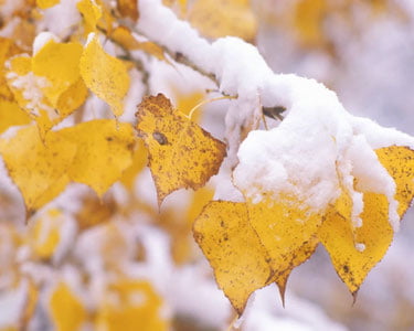 19 ноябрь куни Ўзбекистонда қандай об-ҳаво кутилмоқда?