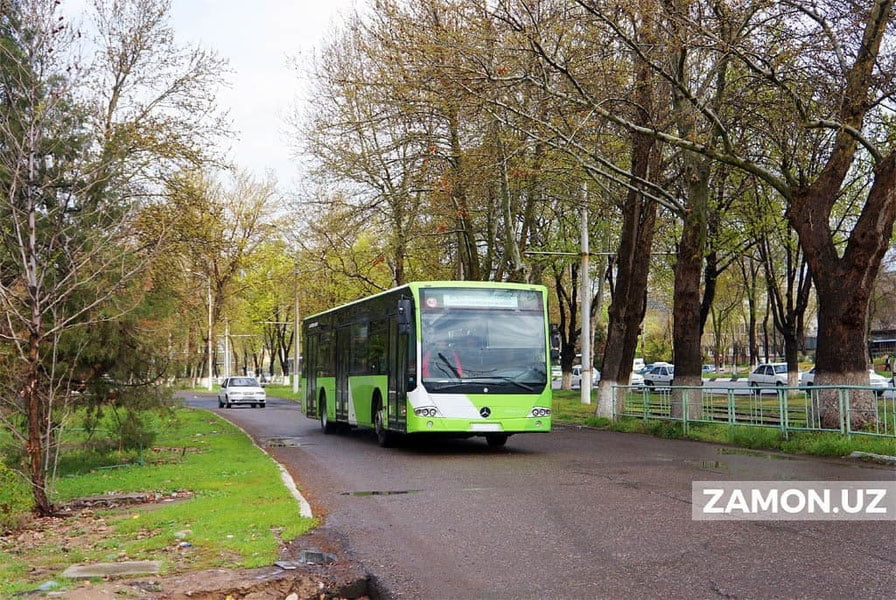 Баъзи жойларда ҳатто бекатлар ҳам йўқ — Истеъмолчилар ҳуқуқини ҳимоя қилиш агентлиги