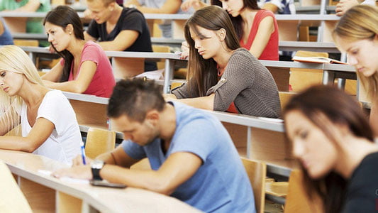 Зангиота туманида университет очилади