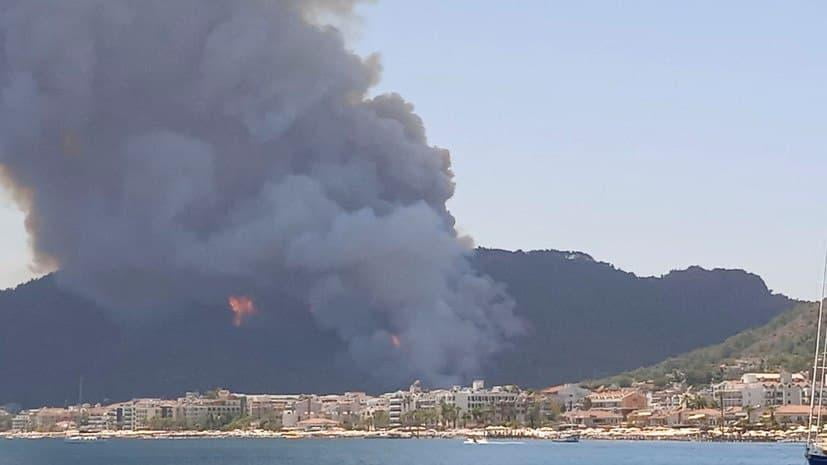 Туркияда ўрмон ёнғнлари ўчирилди