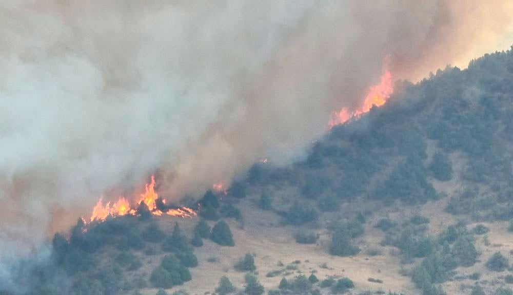 Тошкент вилоятидаги Чотқол давлат биосфера қўриқхонасида ёнғин содир бўлди