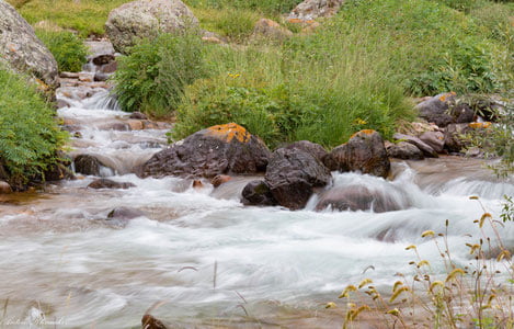 Синфдошлари билан тоққа дам олишга чиққан қиз дарёда оқиб кетди