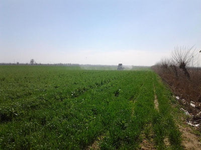 Ўзбекистонда 1,1 млн гектар ер муомалага қайтарилади