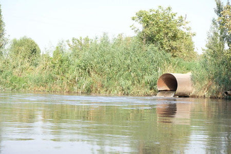 Кимёвий моддалар миқдорини аниқлаш учун Тошкентдаги каналларда сув сифати текширилди
