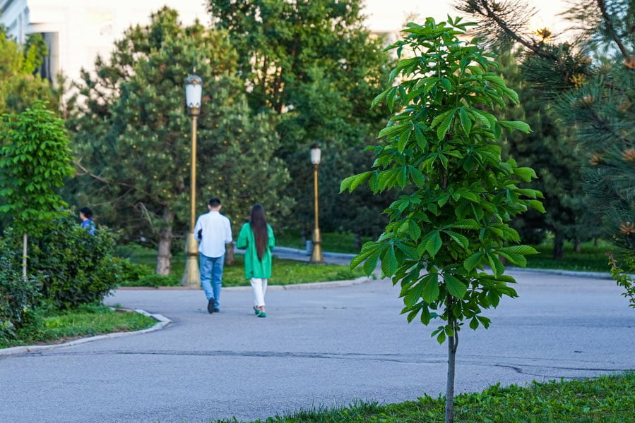 O'zbekistonga 26-avgustdan nam va salqin havo oqimlari kirib keladi