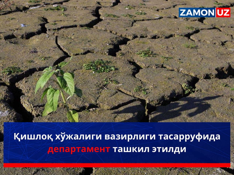 Qishloq xo‘jaligi vazirligi tasarrufida departament tashkil etildi