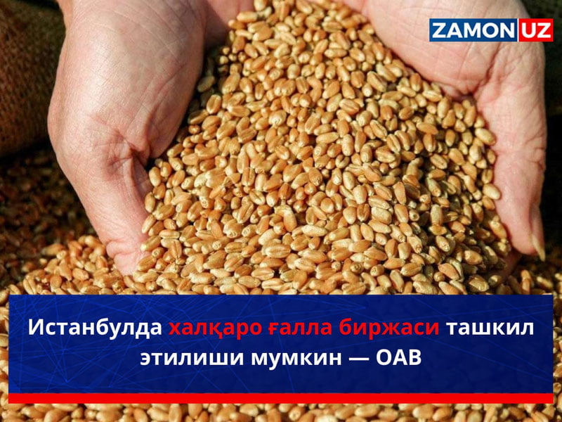 Истанбулда халқаро ғалла биржаси ташкил этилиши мумкин — ОАВ