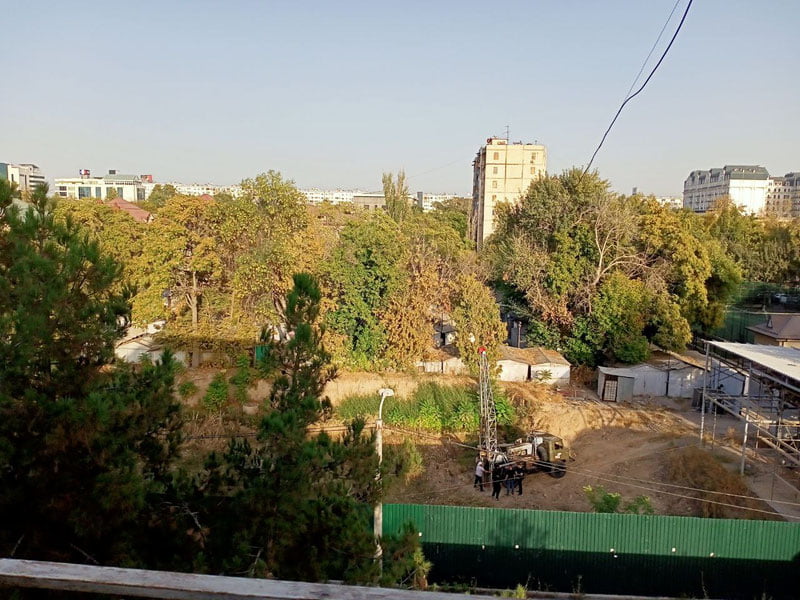 Bosh prokuratura Buxoroda yashillik darajasi qisqargani yuzasidan tekshiruv boshladi