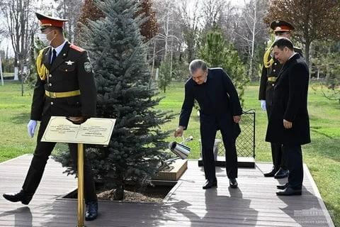 ТДТ саммити доирасида Ўзбекистон бугуннинг ўзида 2,5 миллион туп дарахт экади