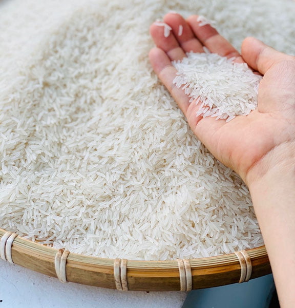 Ўзбекистон Мисрга гуруч экспорт қилиши мумкин