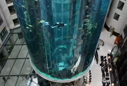Берлин: дунёдаги энг катта аквариумлардан бири ёрилиб кетди