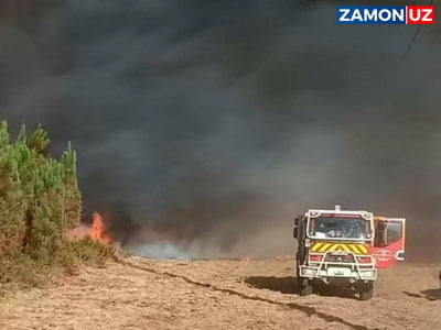 Иқлимшунослар Европада ғайритабиий иссиқ ёзни прогноз қилишмоқда