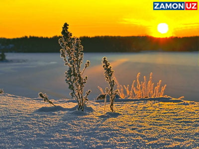 Ўзбекистонга илиқ ҳаво қайтмоқда