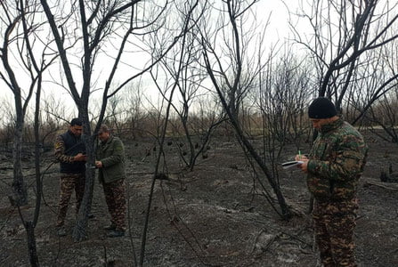 Sirdaryodagi yong‘in yuzasidan jinoyat ishi ochildi