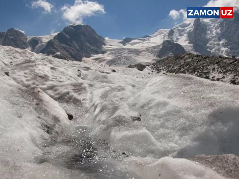 2000 нафар кекса аёл Швейцария ҳукуматини судга берди