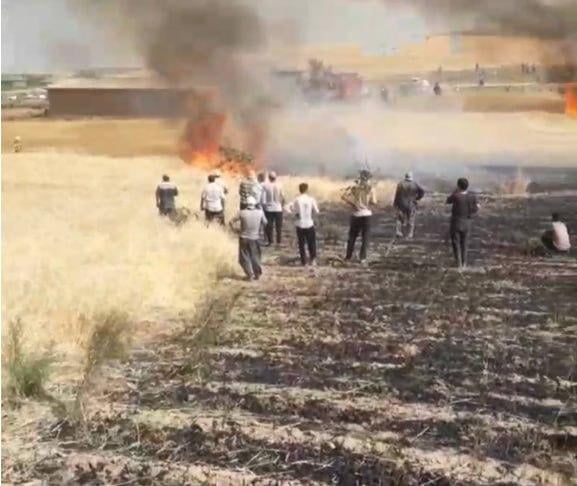 Қашқадарёда ғалла майдонига ўт кетди