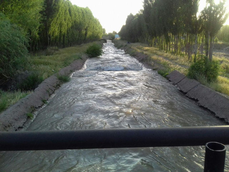 Тошкент вилоятида 9 синф ўқувчиси чўкиб кетди