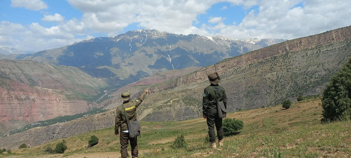 Сурхондарёда янги маъданли тузилма борлиги аниқланди