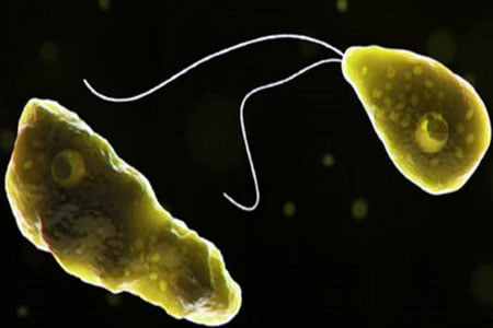 Покистонлик эркак «мияни еювчи» инфекция туфайли вафот этди