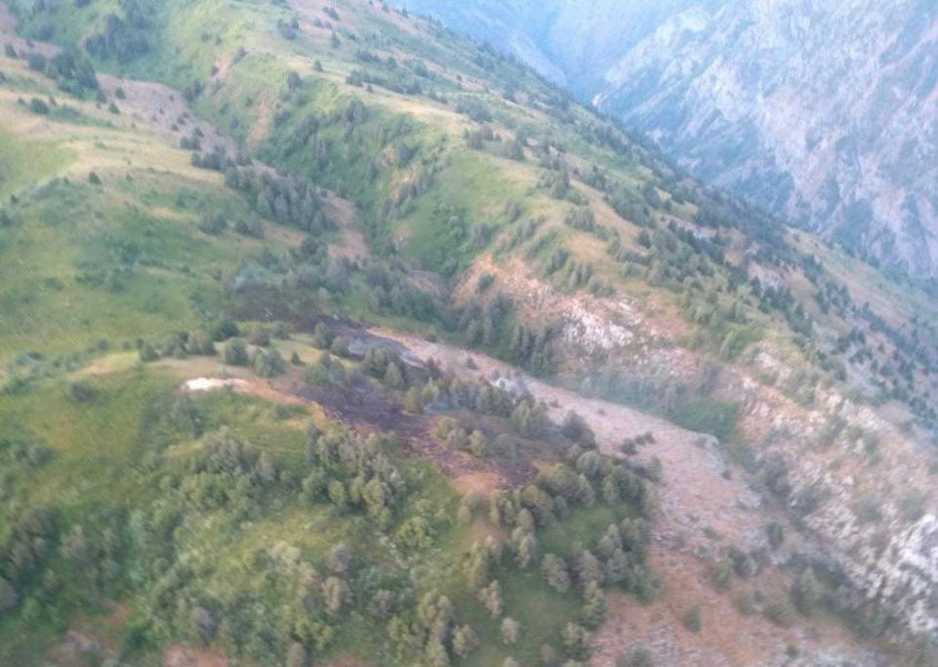 Чотқол қўриқхонасида йирик ёнғиннинг олди олинди