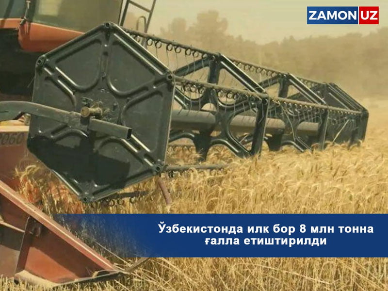 Ўзбекистонда илк бор 8 млн тонна ғалла етиштирилди