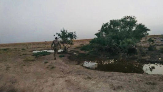 Бухорода инспекторга ўқ узган браконьер ушланди