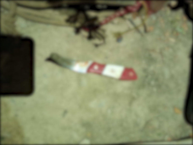 Жиззахда боғча директори тунда ўлдириб кетилди