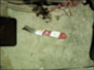 Жиззахда боғча директори тунда ўлдириб кетилди