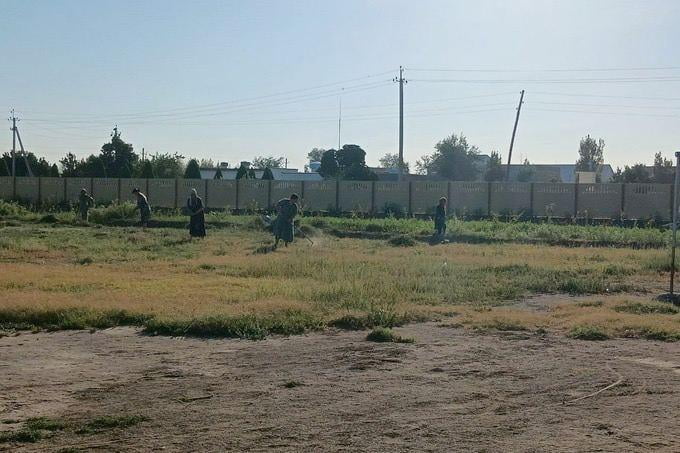 Xorazmda direktor o‘qituvchilarga maktabni tozalattirdi