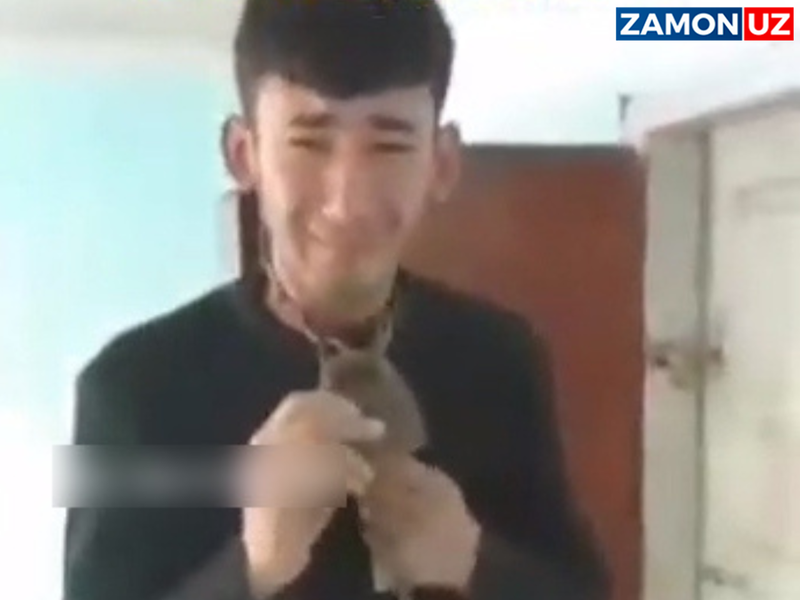 Nogironlar uyidagi ahvol: bo‘ynidan kishanlangan shaxs videoni o‘zi sahnalashtirganmi?