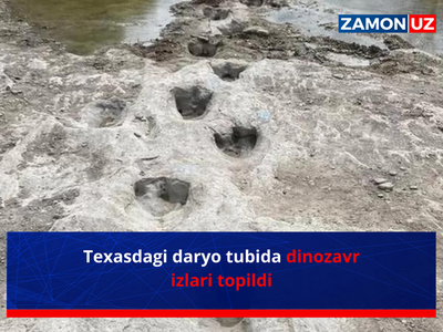 Texasdagi daryo tubida dinozavr izlari topildi