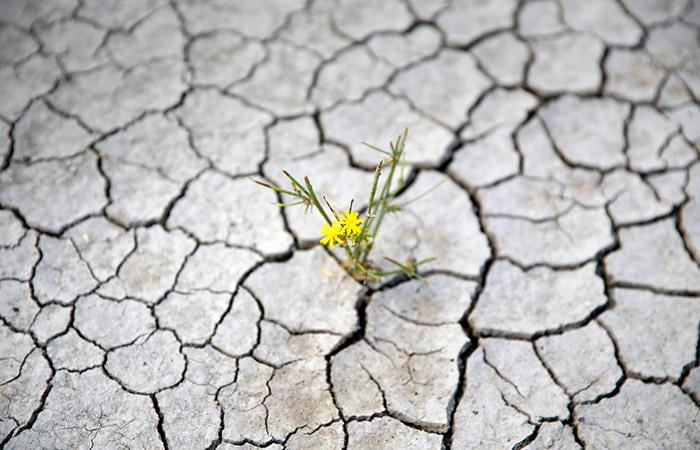 Туркияни яна бир муаммо кутмоқда