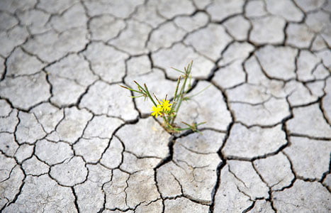 Туркияни яна бир муаммо кутмоқда