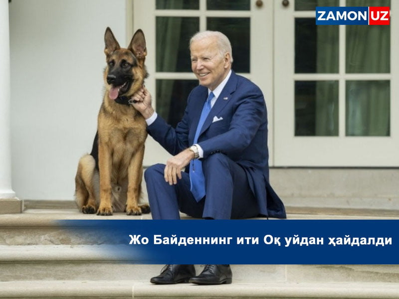 Jo Baydenning iti Oq uydan haydaldi