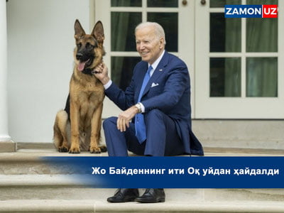 Jo Baydenning iti Oq uydan haydaldi