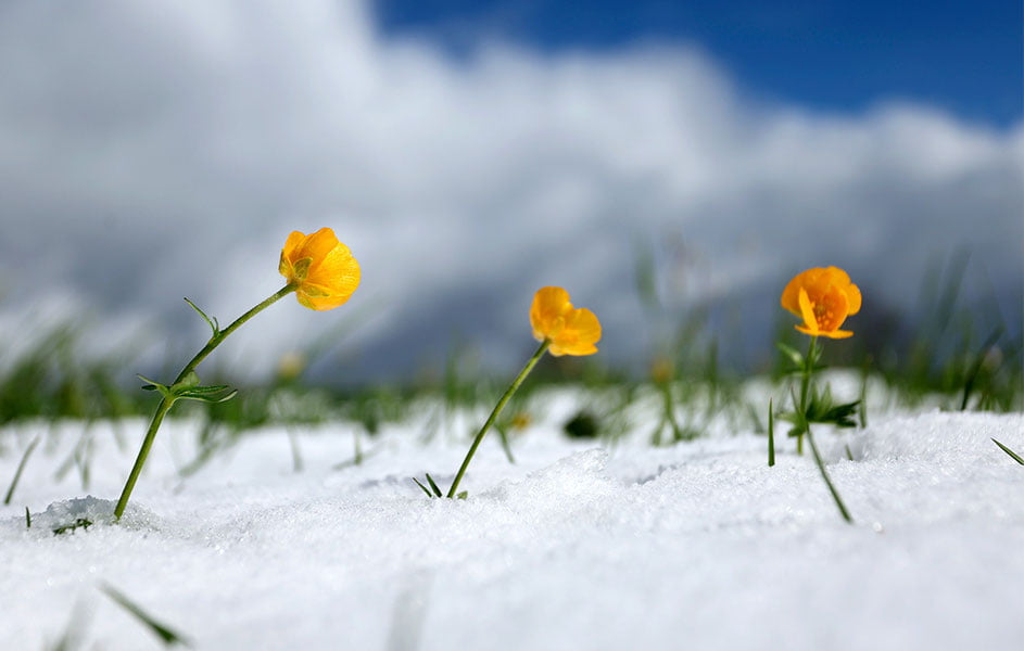 Бугун Ўзбекистонда ёғингарчилик кузатилмайди