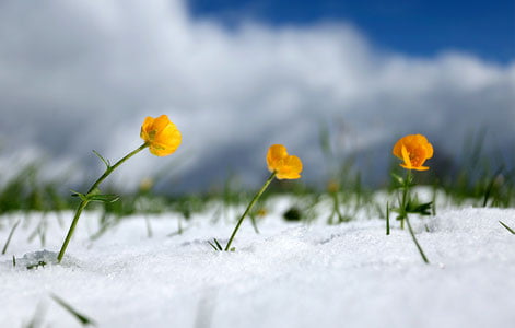 Бугун Ўзбекистонда ёғингарчилик кузатилмайди