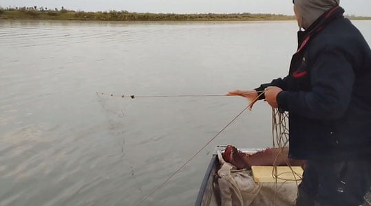 Ekologiya inspektorlari brakonyerlar hujumiga uchradi
