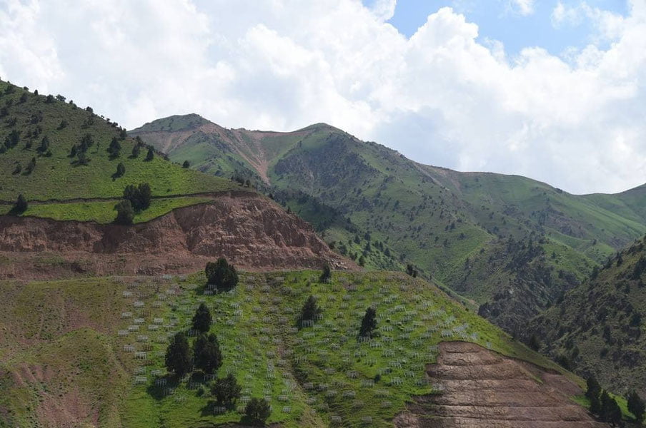 10 май учун об-ҳаво прогнози эълон қилинди